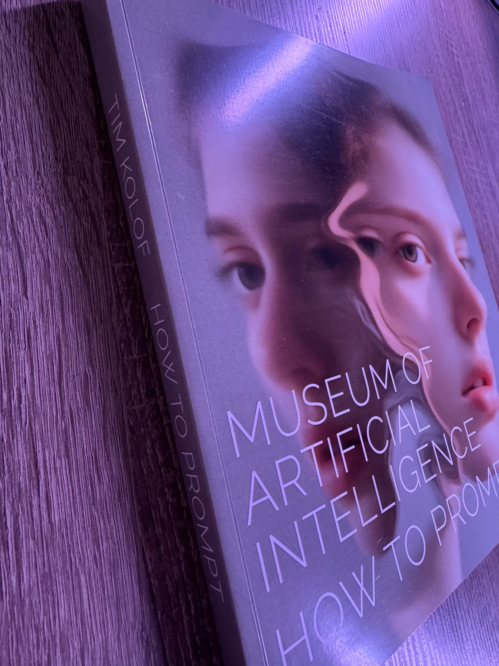 How to Prompt – Ansicht 6